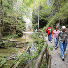 Wandertage Faistenau Bilder - 15_-18_9_2011 241_JPG-1316730540