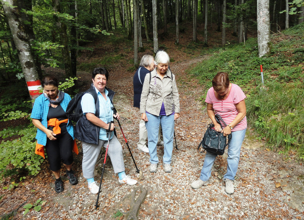 Wandertage Faistenau Bilder - 15_-18_9_2011 244_JPG-1316730732