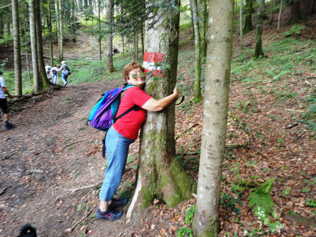 Wandertage Faistenau Bilder - 15_-18_9_2011 250_JPG-1316730834