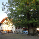 Wandertage Faistenau Bilder - 15_-18_9_2011 216_JPG-1316730032