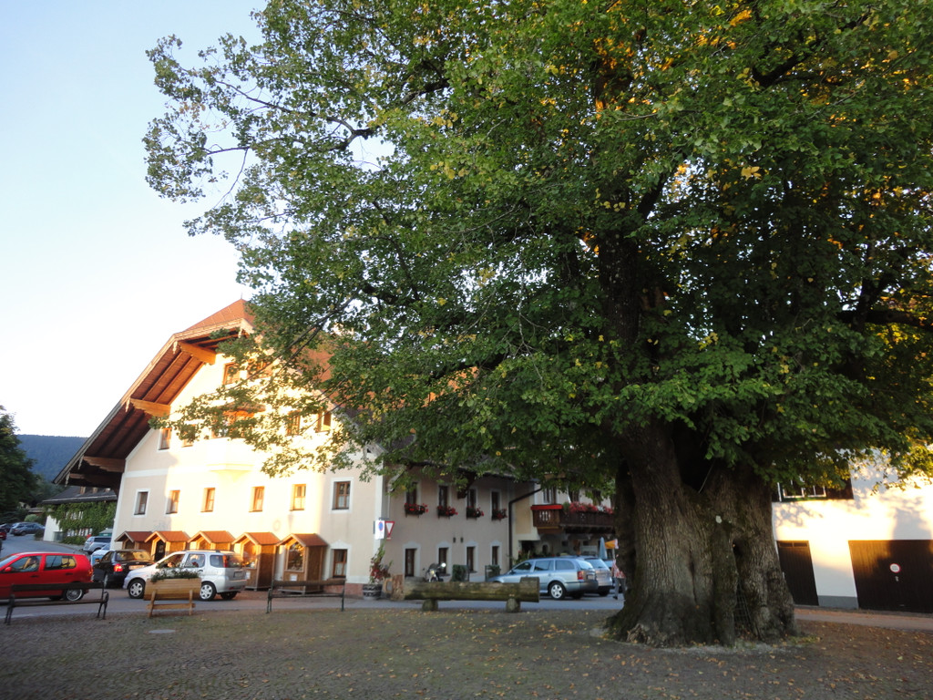 Wandertage Faistenau Bilder - 15_-18_9_2011 216_JPG-1316730032