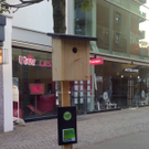 Gezwitscher in Dornbirn