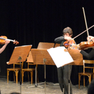 kurzemann-pilz_jpg-1316772804