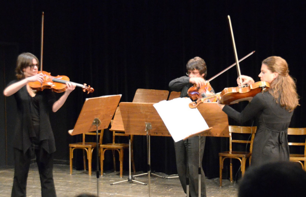 kurzemann-pilz_jpg-1316772804