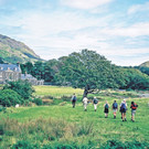 Schottland: Isle of Mull