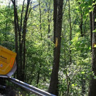 normal_23092011fmt_lkwwiestal_ta_016.JPG