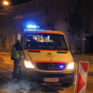 normal_23092011fmt_vulehen_fm_01.jpg