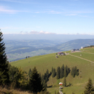 Seniorenausflug Bezau Baumgarten _37__jpg-1316853105