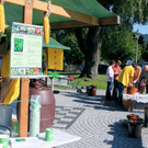 KOE_krut ihobla 11_jpg-1316887294