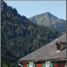 DSCN6806.jpg