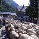 DSCN6810.jpg