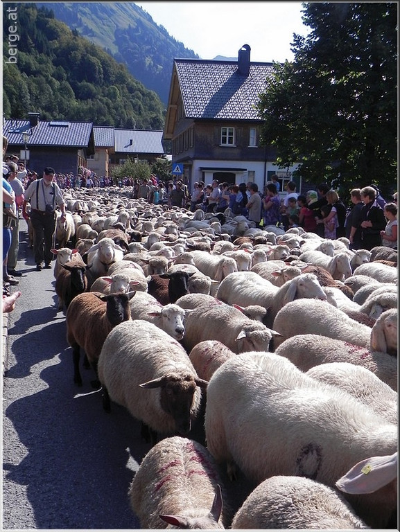 DSCN6810.jpg