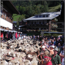 DSCN6824.jpg