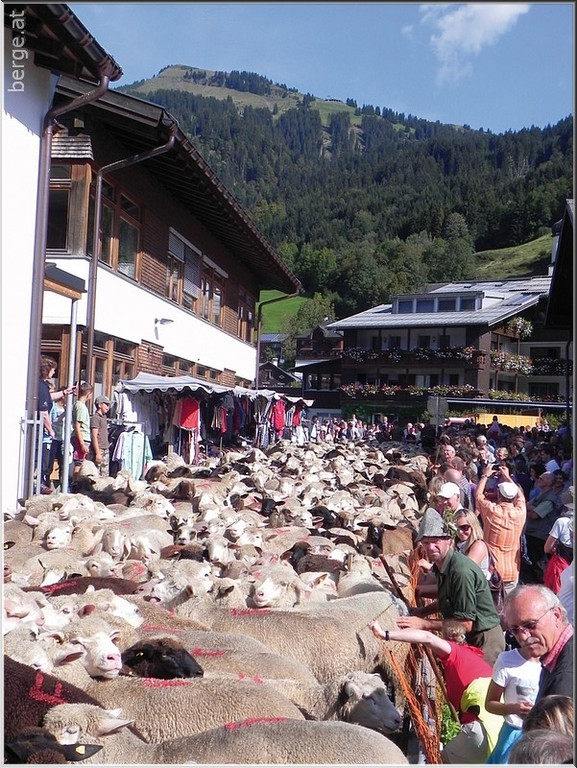DSCN6826.jpg