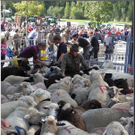 DSCN6836.jpg