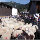 DSCN6904.jpg