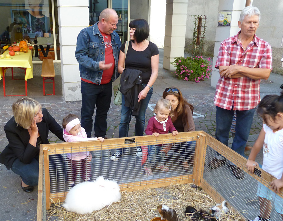 Erntedank28Zoo_jpg-1316903522