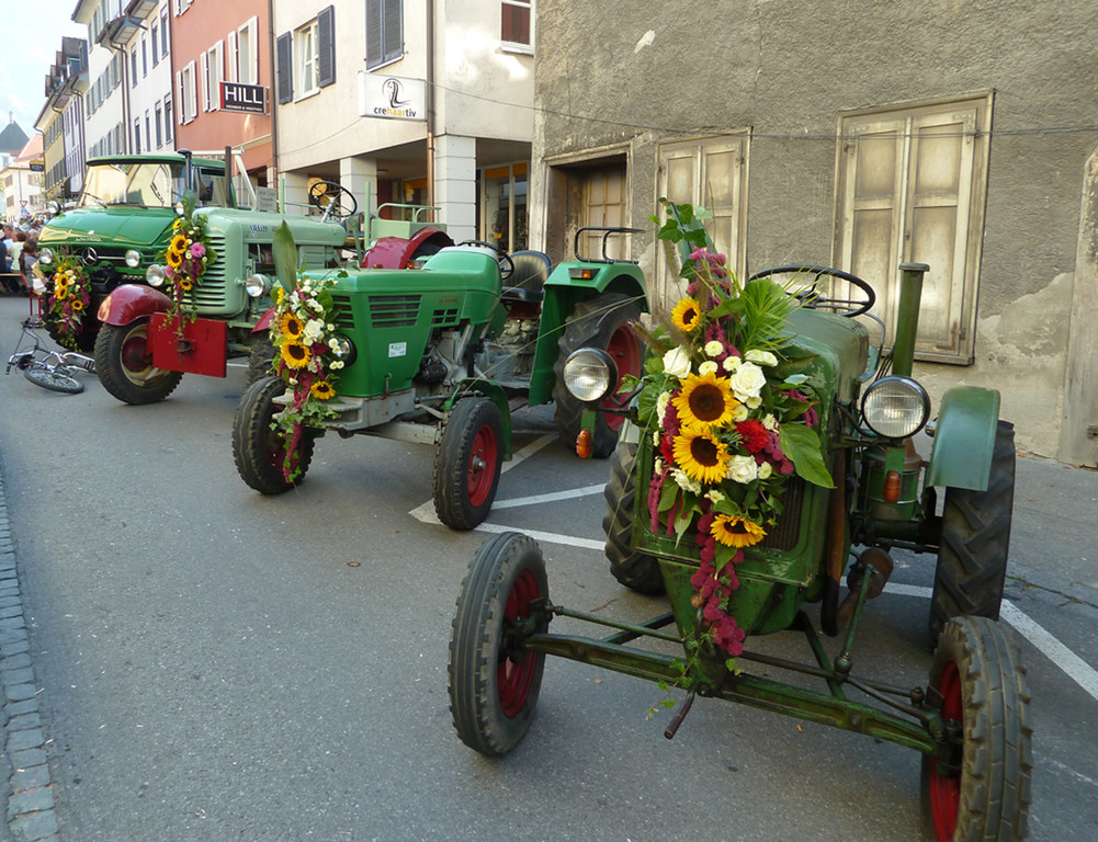 Erntedank27Traktoren_jpg-1316903544