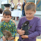 Erntedank18Zoo_jpg-1316903649