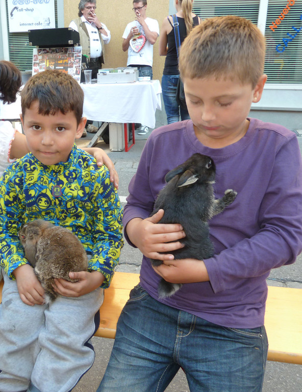 Erntedank18Zoo_jpg-1316903649