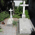 Baum 1000_jpg-1316930021