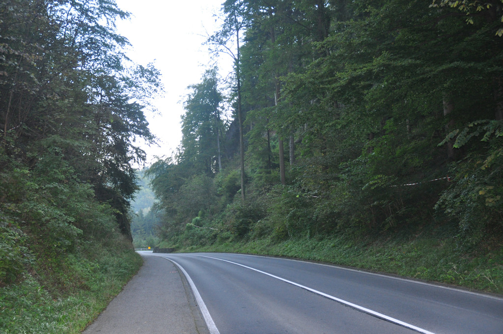 DSC_0001_JPG-1316938543