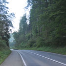 Klaus - Klauserwald