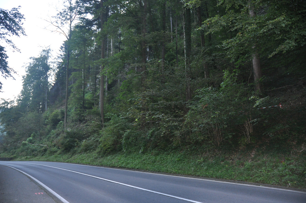 DSC_0009_JPG-1316938662