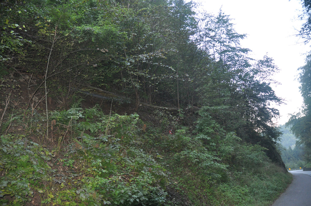 DSC_0011_JPG-1316938708