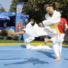 Der Wiener Tag des Sports 2011