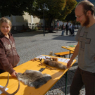 DSC_0887_JPG-1316950126
