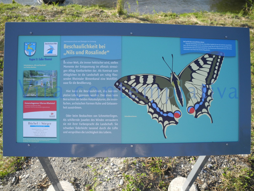 DSCN8979_JPG-1316953749