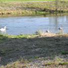 DSCN8961_JPG-1316953639