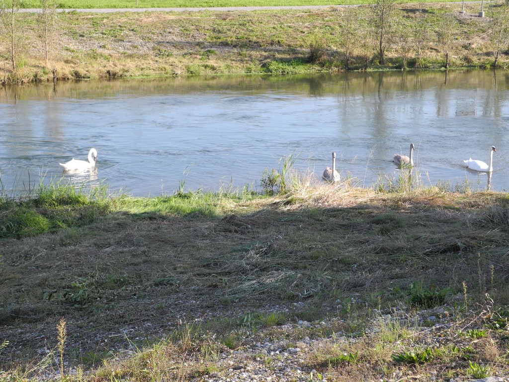 DSCN8961_JPG-1316953639