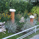 DSCN8964_JPG-1316953683