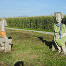 DSCN8975_JPG-1316953695