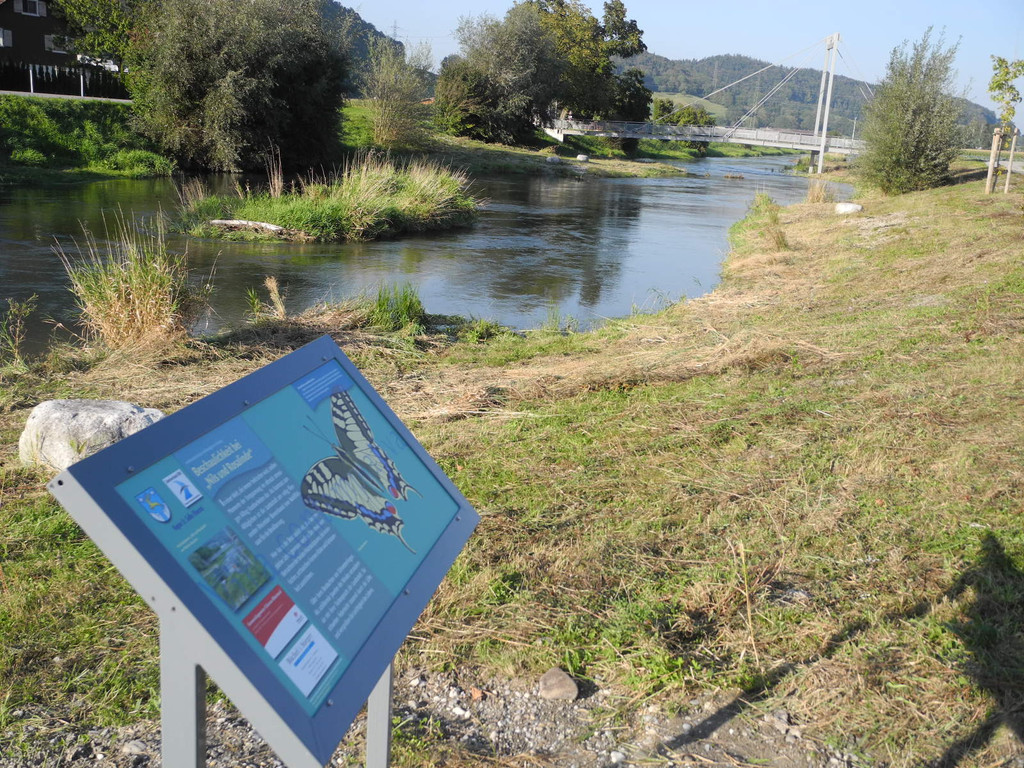 DSCN8978_JPG-1316953737