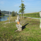 DSCN8976_JPG-1316953707