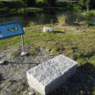 DSCN8980_JPG-1316953762