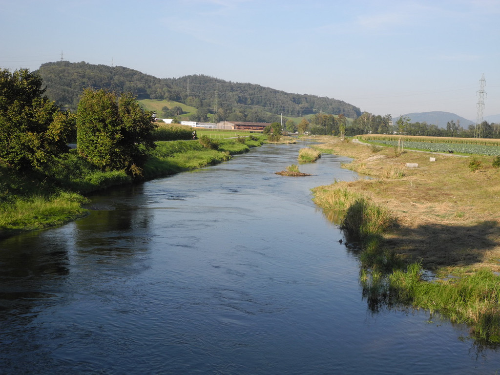 DSCN8981_JPG-1316953775