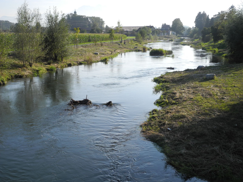 DSCN8982_JPG-1316953790