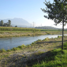 DSCN8983_JPG-1316953802