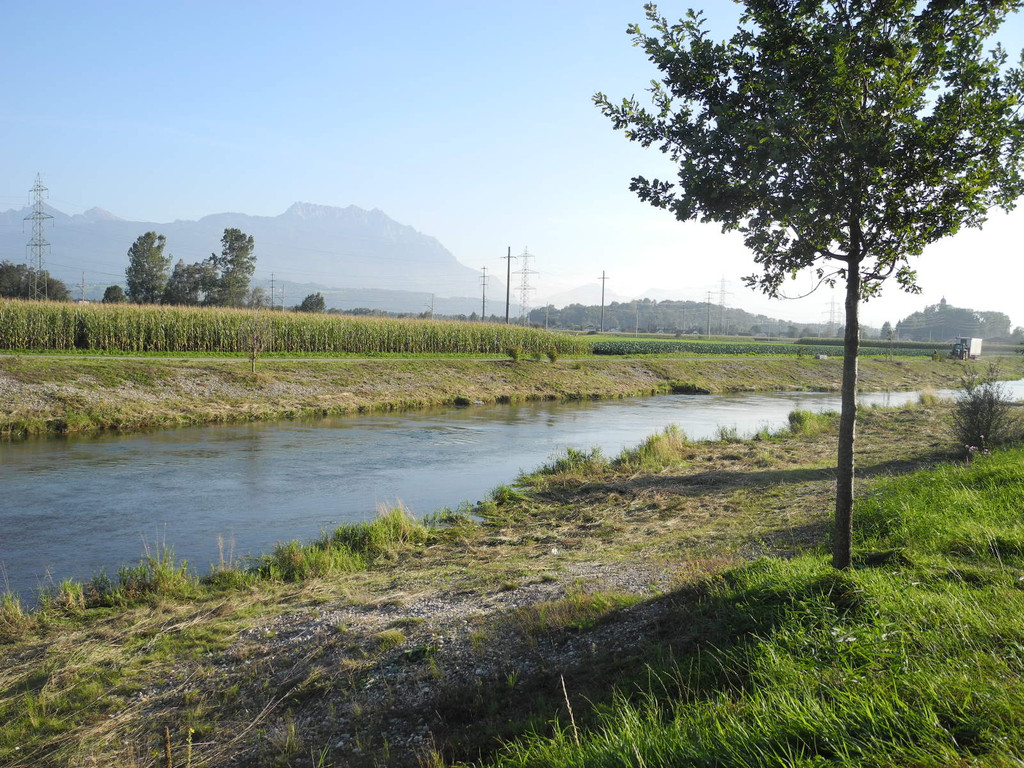 DSCN8983_JPG-1316953802