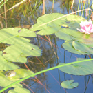 DSCN8988_JPG-1316953827