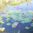 DSCN8991_JPG-1316953851