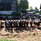 IMG_7256_jpg-1316963369