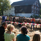 IMG_7257_jpg-1316963378