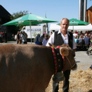 IMG_7265_jpg-1316963422