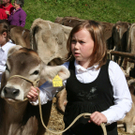 IMG_7284_jpg-1316963467