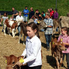 IMG_7285_jpg-1316963477